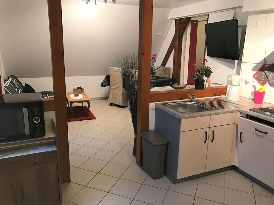 Bel Appartement De Charme De 70 M2 Танненкирш Экстерьер фото